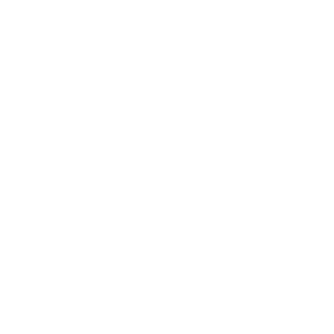 Timothy Training International